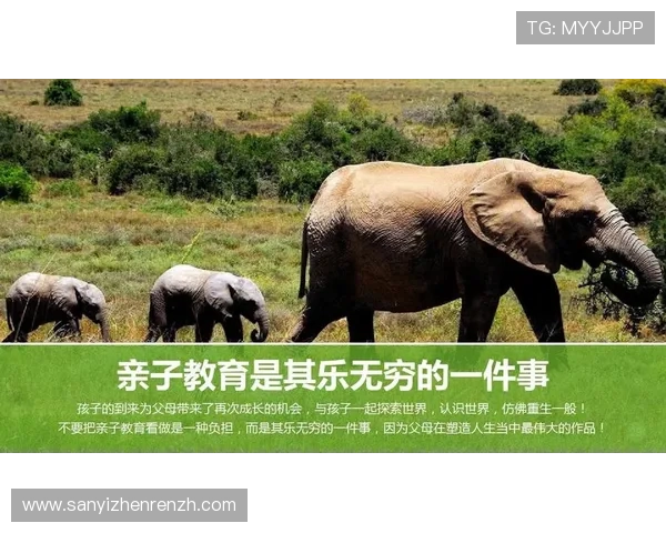 斗牛游戏常见问题解答及解决方案让你无忧畅玩每一局 斗牛游戏常见问题解答及解决方案让你无忧畅玩每一局