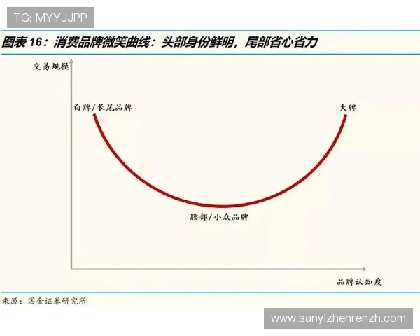 gqy视讯百度百科未来发展规划与创新方向展望行业持续成长的动力源泉
